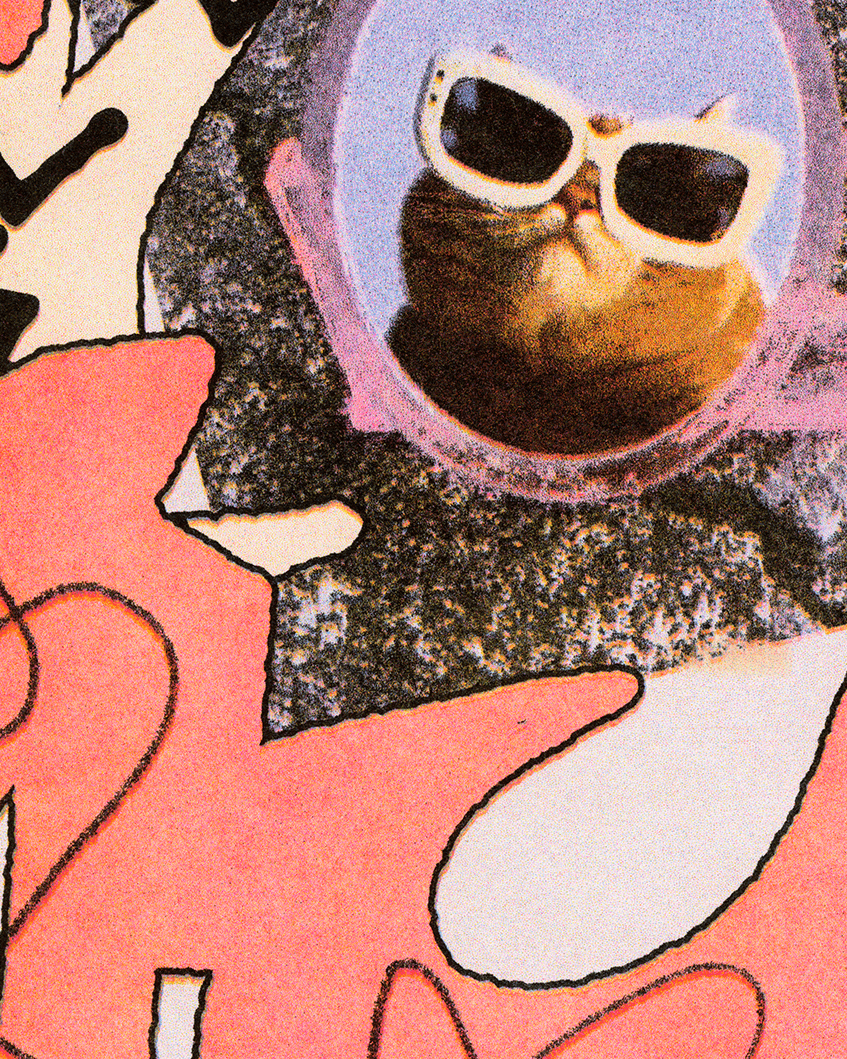 CHAMALO - POSTER RISO - A3 - Edition limitée